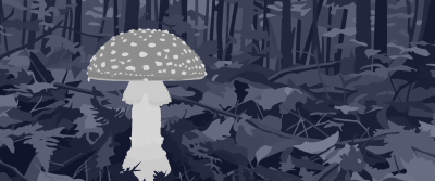 Ein heller Pilz mit gesprenkelter Kappe, Manschette am Stiel und knolliger Basis steht links auf dem Waldboden; im Hintergrund dicht stehende Baumstämme über Laub, Farnwedeln und abgestorbenen Ästen, alles in dunklem Blaugrau.