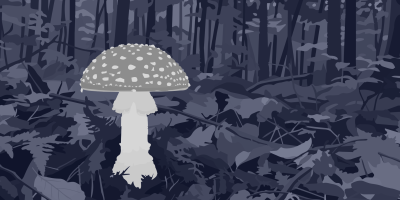 Ein heller Pilz mit gesprenkelter Kappe, Manschette am Stiel und knolliger Basis steht links auf dem Waldboden; im Hintergrund dicht stehende Baumstämme über Laub, Farnwedeln und abgestorbenen Ästen, alles in dunklem Blaugrau.